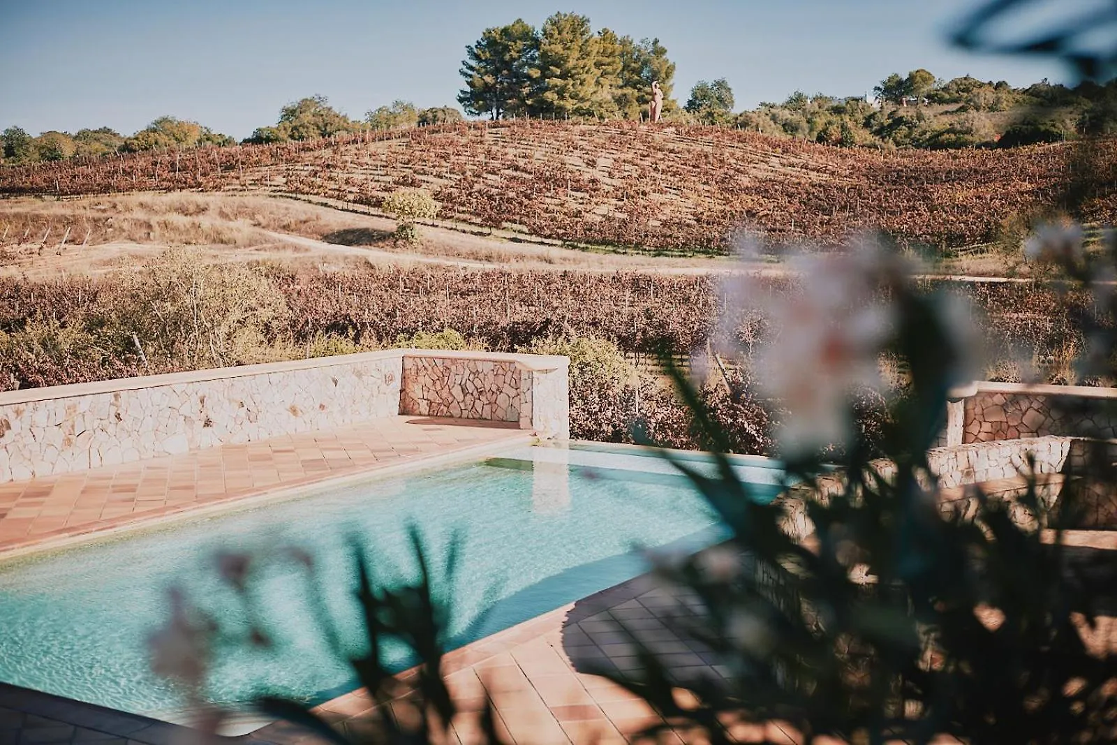 Pensjonat Quinta Dos Vales Wine Estate Estômbar Gospodarstwo wiejskie